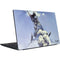 Frazetta Sliver Warrior Dell Vostro Skin